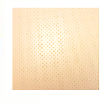 AQUAPLAST FERULA TERMOPLASTICA 15X15 CM